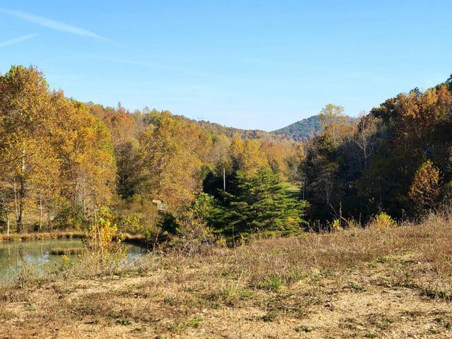 Parcel 1 & 2 Lazy Bee Lane, Vanceburg, KY 41179