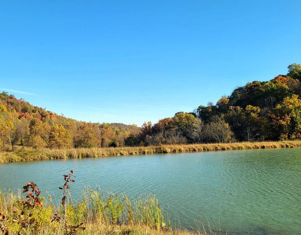 Parcel 1 & 2 Lazy Bee Lane, Vanceburg, KY 41179