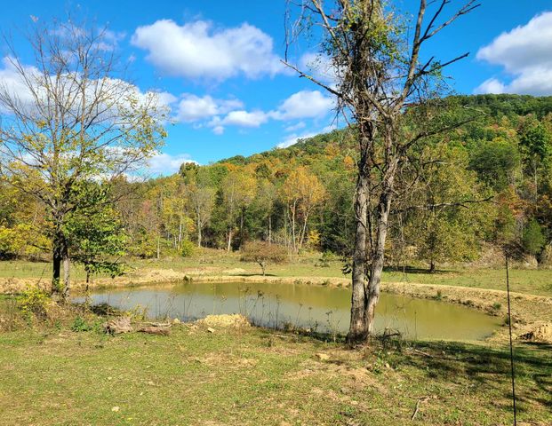 Parcel 1 & 2 Lazy Bee Lane, Vanceburg, KY 41179