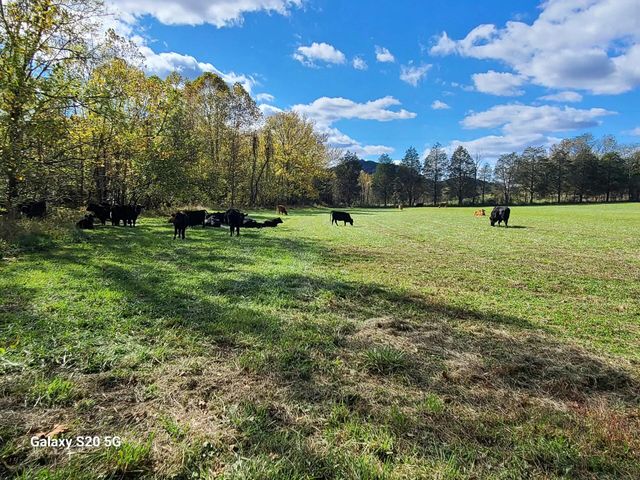 Parcel 1 & 2 Lazy Bee Lane, Vanceburg, KY 41179