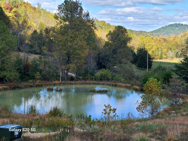 Parcel 1 & 2 Lazy Bee Lane, Vanceburg, KY 41179