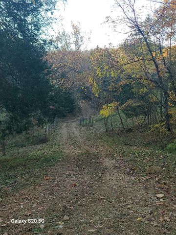 Parcel 1 & 2 Lazy Bee Lane, Vanceburg, KY 41179