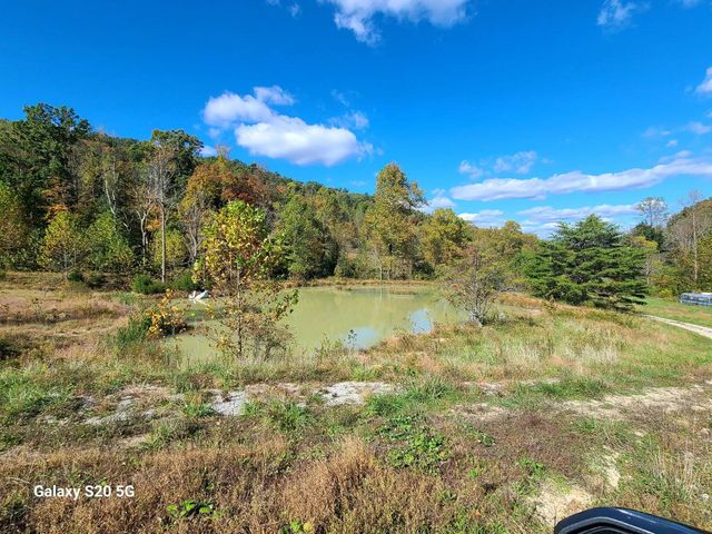 Parcel 1 & 2 Lazy Bee Lane, Vanceburg, KY 41179