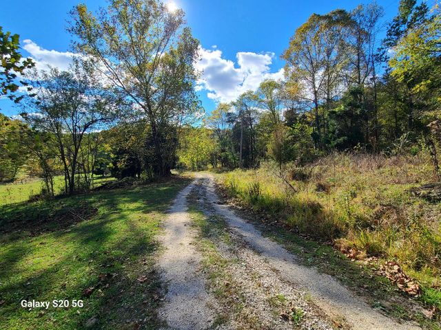 Parcel 1 & 2 Lazy Bee Lane, Vanceburg, KY 41179