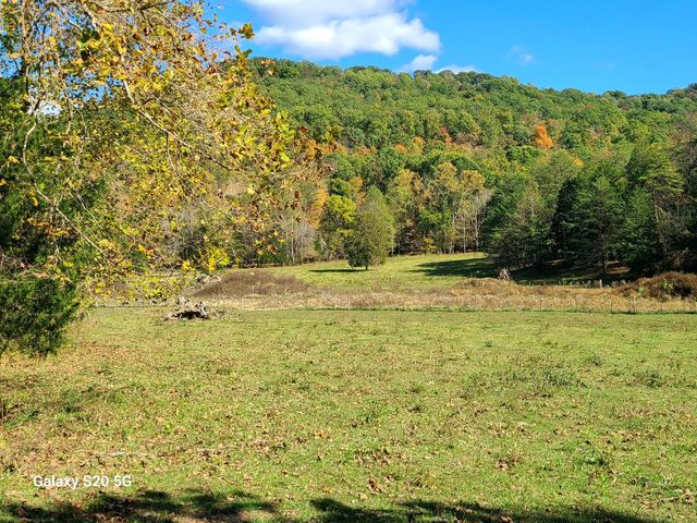 Parcel 1 & 2 Lazy Bee Lane, Vanceburg, KY 41179