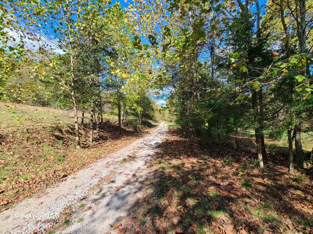Parcel 1 & 2 Lazy Bee Lane, Vanceburg, KY 41179