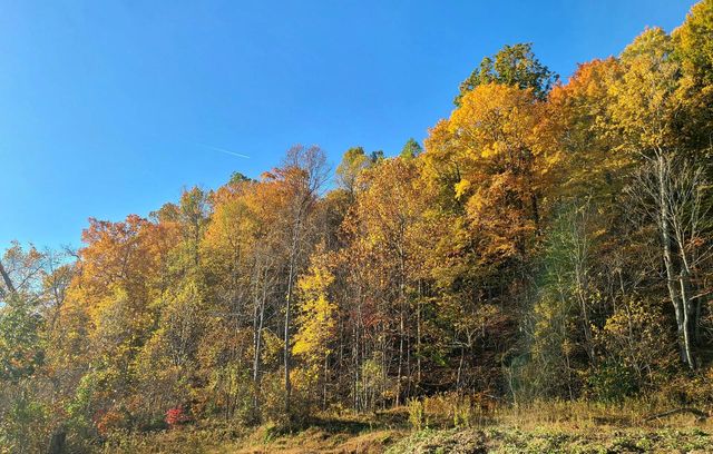 Parcel 1 & 2 Lazy Bee Lane, Vanceburg, KY 41179