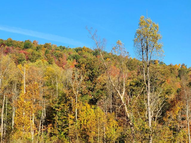 Parcel 1 & 2 Lazy Bee Lane, Vanceburg, KY 41179