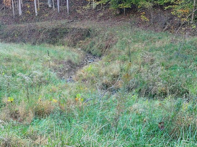 Parcel 1 & 2 Lazy Bee Lane, Vanceburg, KY 41179