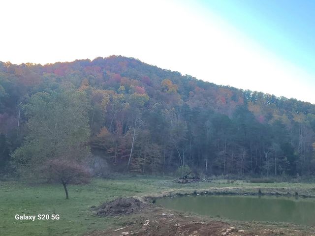 Parcel 1 & 2 Lazy Bee Lane, Vanceburg, KY 41179