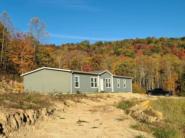 Parcel 1 & 2 Lazy Bee Lane, Vanceburg, KY 41179