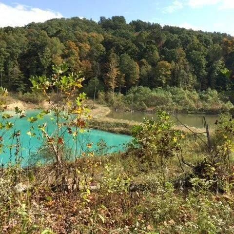 Parcel 1 & 2 Lazy Bee Lane, Vanceburg, KY 41179