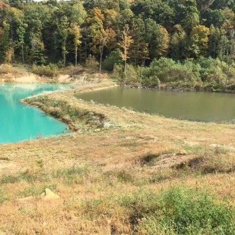 Parcel 1 & 2 Lazy Bee Lane, Vanceburg, KY 41179