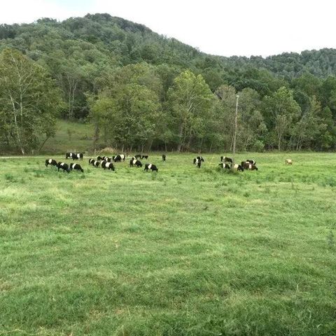 Parcel 1 & 2 Lazy Bee Lane, Vanceburg, KY 41179