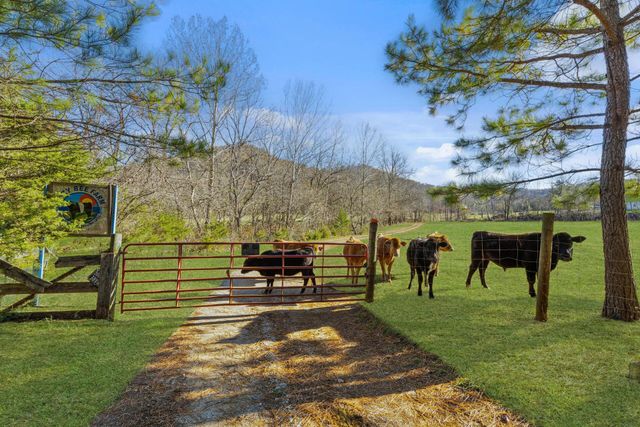 Parcel 1 & 2 Lazy Bee Lane, Vanceburg, KY 41179