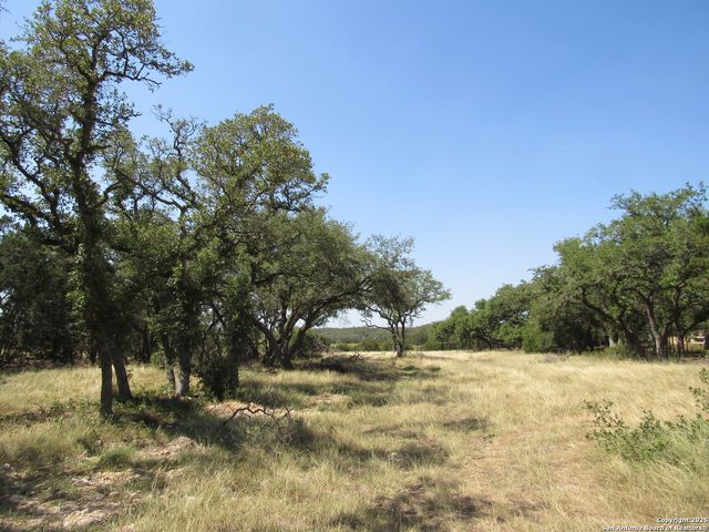 780 Ansley Forest, Bulverde, TX 78163
