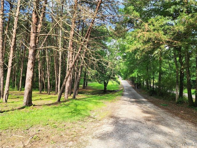 14541 Keenes Mill, Coaling, AL 35453