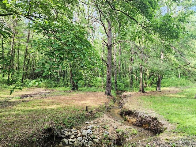 14541 Keenes Mill, Coaling, AL 35453