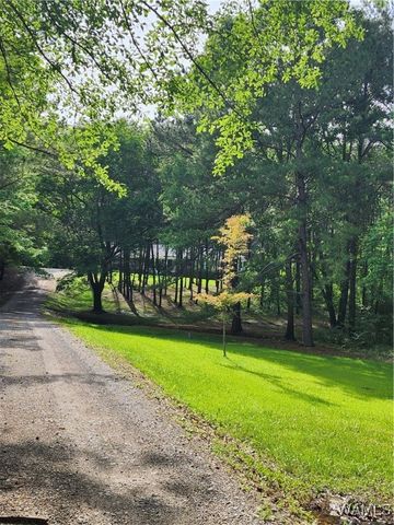 14541 Keenes Mill, Coaling, AL 35453