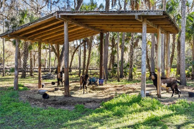 295 N JUNGLE ROAD, Geneva, FL 32732