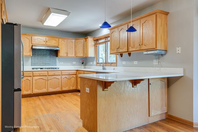 8220 Rutherford Drive, Woodridge, IL 60517