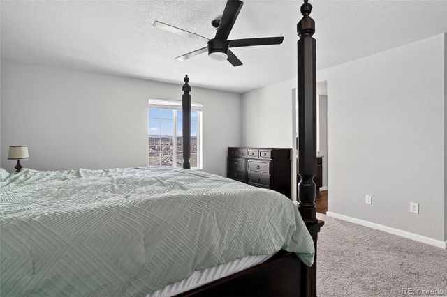 5336 Trails Edge Lane, Castle Rock, CO 80104