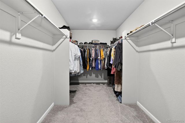 5336 Trails Edge Lane, Castle Rock, CO 80104