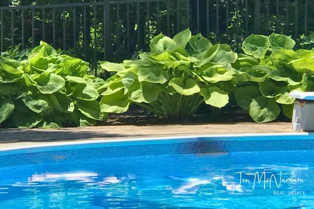 7245 Packer Drive NE, Belmont, MI 49306