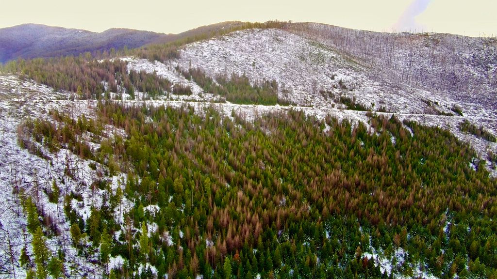 W 0 Fork Combest Creek RD, Plains, MT 59859 photo 28