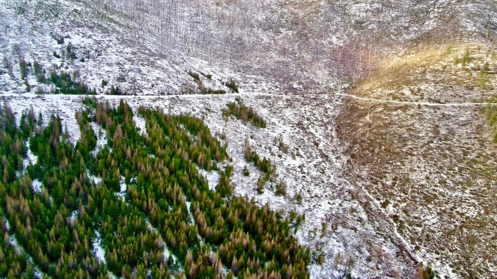 W 0 Fork Combest Creek RD, Plains, MT 59859 photo 30