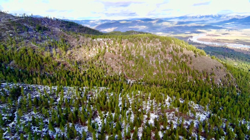 W 0 Fork Combest Creek RD, Plains, MT 59859 photo 32