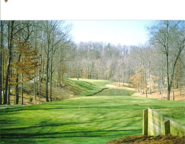 835 Gangplank Rd Unit 113, Moneta, VA 24121