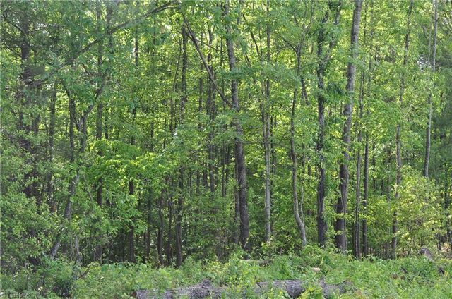 TBD Billings Hill Church Road, Traphill, NC 28685
