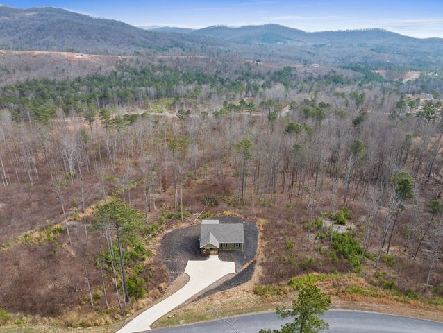 1281 Twisted Oak Road, Talking Rock, GA 30175