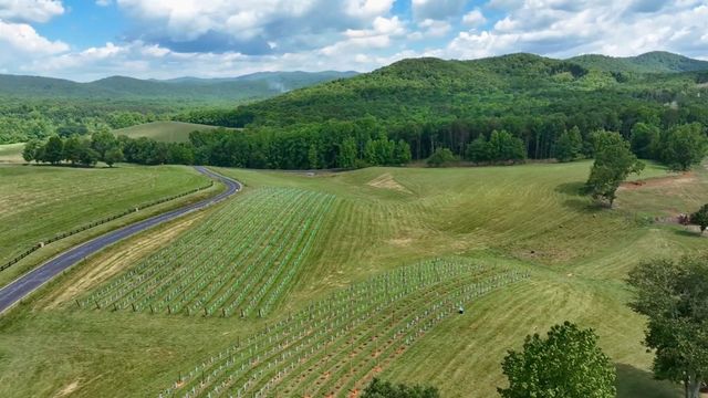 1281 Twisted Oak Road, Talking Rock, GA 30175