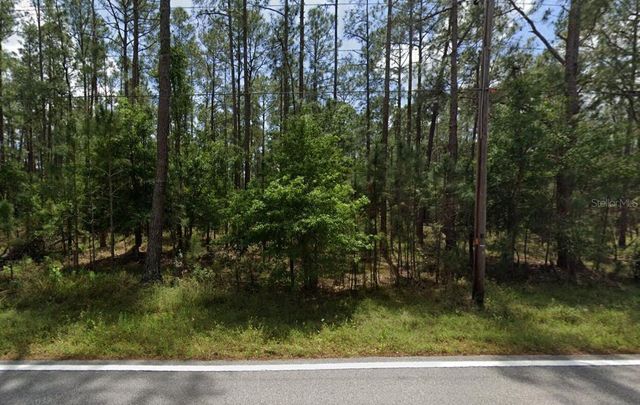 POYNER OAKS ROAD N, Polk City, FL 33868