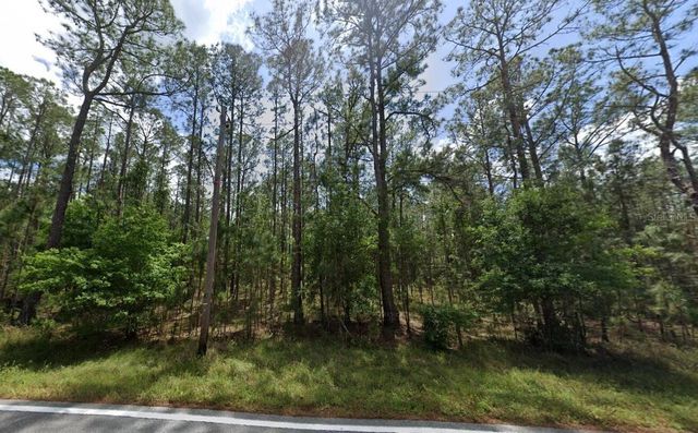 POYNER OAKS ROAD N, Polk City, FL 33868