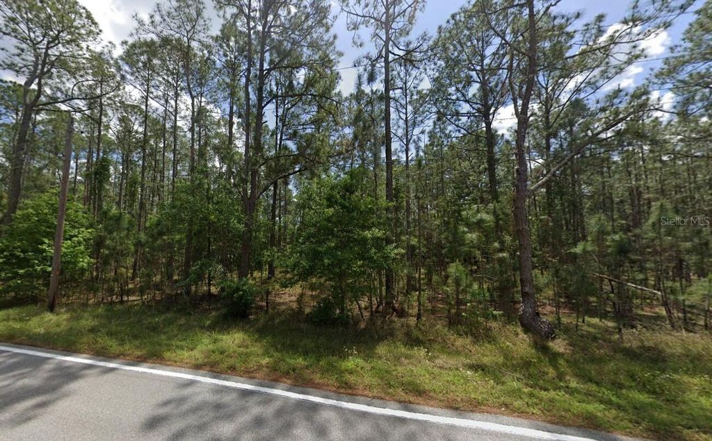 POYNER OAKS ROAD N, Polk City, FL 33868