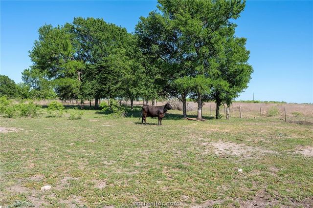 2205 County Road 122 County Road, Caldwell, TX 77836