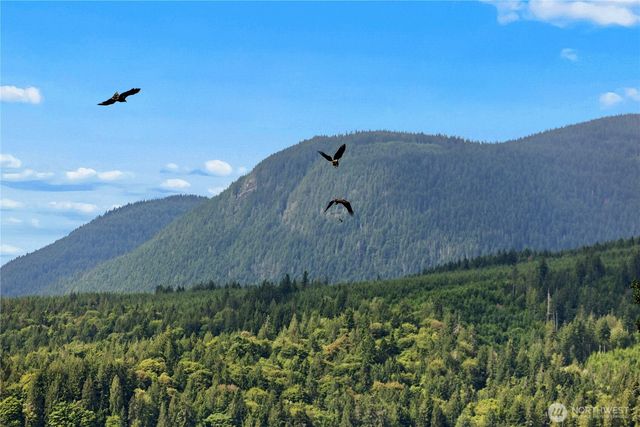 0 K-Tract 9 McDonald Road, Quilcene, WA 98376