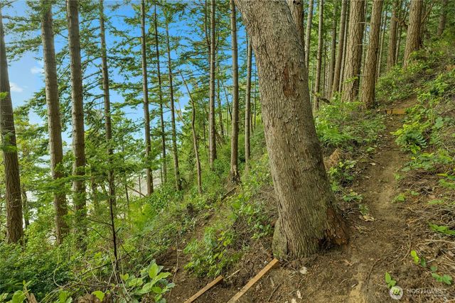 0 K-Tract 9 McDonald Road, Quilcene, WA 98376