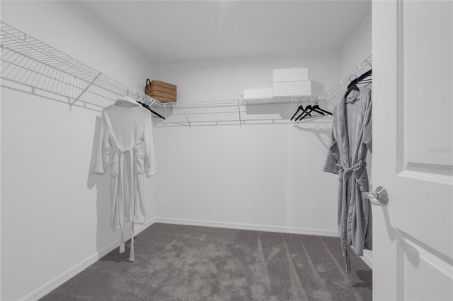 10111 MORNING MEADOWLARK TRAIL, Parrish, FL 34219