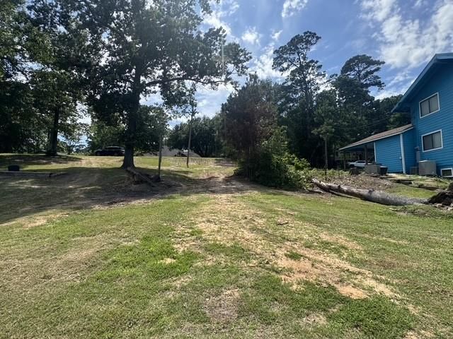 175 Sam Houston Loop, Point Blank, TX 77364