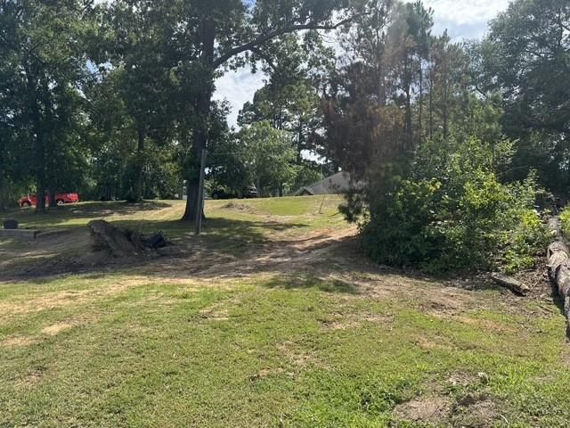 175 Sam Houston Loop, Point Blank, TX 77364