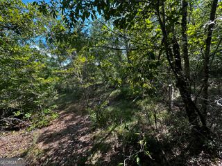 1787 Buddy Johnson Road, East Dublin, GA 31027