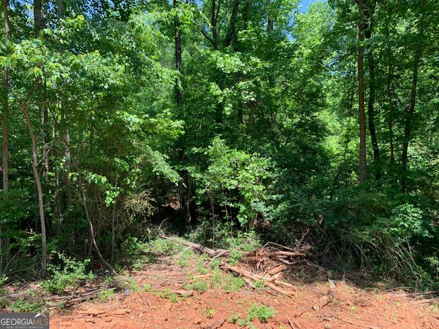 1200 Paxton Court, Watkinsville, GA 30677