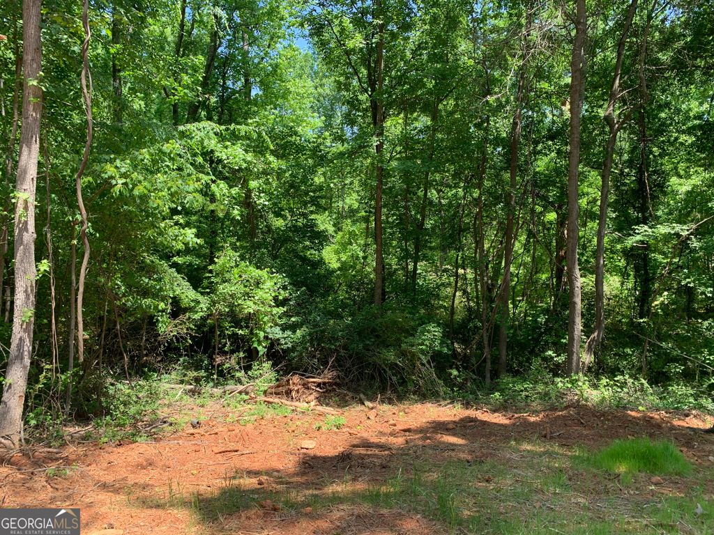 1200 Paxton Court, Watkinsville, GA 30677