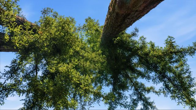 836 Creek Drive, Boulder Creek, CA 95006