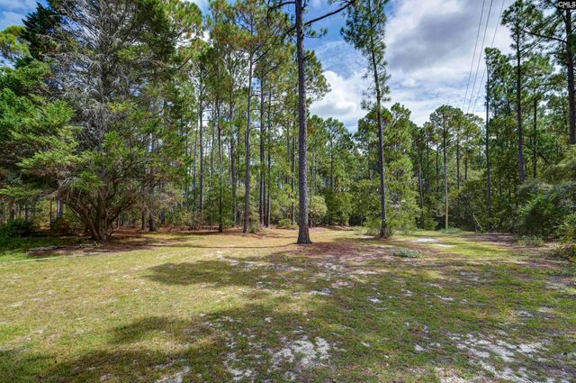 257 Rim Rock Road, Gilbert, SC 29054