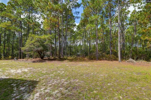 257 Rim Rock Road, Gilbert, SC 29054